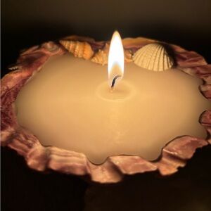 Seashell candle